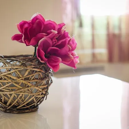 Apartments Vacanza زادار