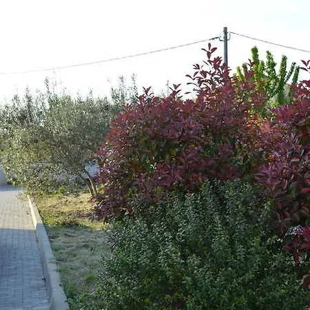 Apartments Vacanza * 자다르