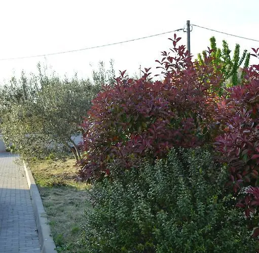 Apartments Vacanza * Zadar